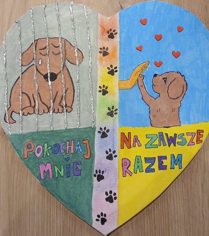 Publiczna Szkoła Podstawowa nr9